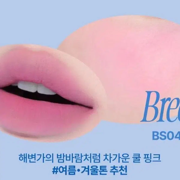 [BUNJANG] FEE Lip & Cheek Blurry Pudding Pot BS04 Breeze / 퓌 립앤치크 블러리 푸딩팟 BS04 브리즈 블러셔 치크 틴트 립스틱 봄웜 여쿨 갈웜 겨쿨 뮤트 라이트 브라이트 클리어 트루 딥 페일