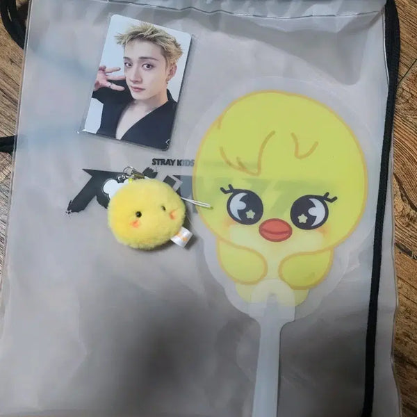 [BUNJANG] Stray Kids Entry Gift Bbokari Set Photocard Bundle / 스키즈 입장기프트 뽁아리셋트 양도 29일 수요일