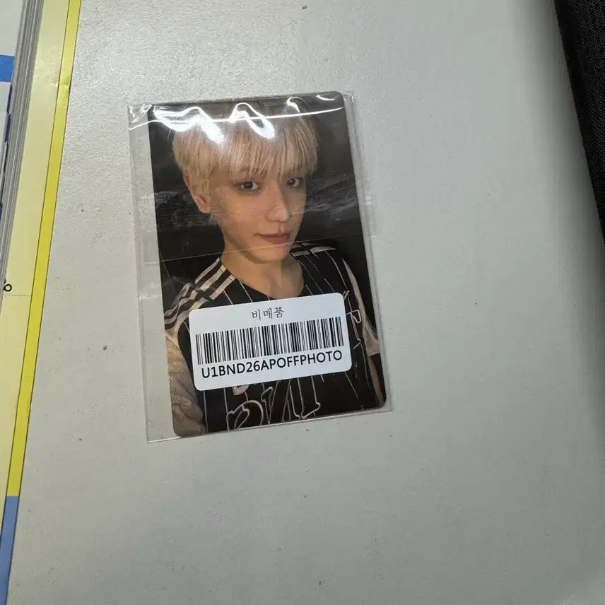 [BUNJANG] BONDVEG Special Fan Meeting Photocard / [HOME]보넥도 special 대면 팬싸 포카