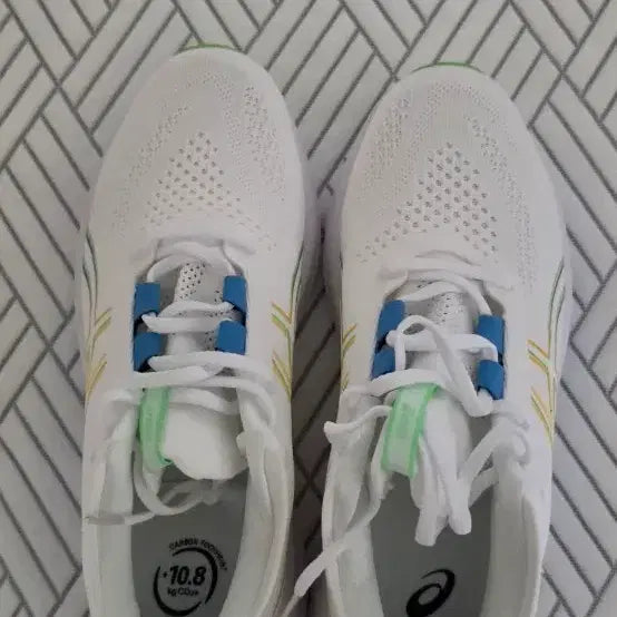 [BUNJANG] Asics Gel Nimbus 29 Running Shoes / 아식스 젤 님버스 29  (290)