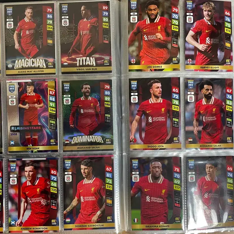 [BUNJANG] Panini Liverpool Team Set Collection Trading Cards / EPL 리버풀 레어 팀 세트 컬렉션 파니니 축구카드