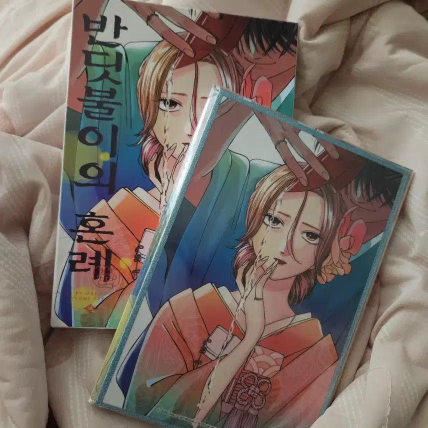[BUNJANG] Firefly's Wedding Limited Edition Vol. 11 / 반딧불이의 혼례 한정판 11권