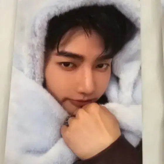[BUNJANG] AndWe: The Beat Road 'Bbongjjwi' Zhang Hao Photocard / 앤더블 비트로드 뽀송쥐 장하오 양도합니다