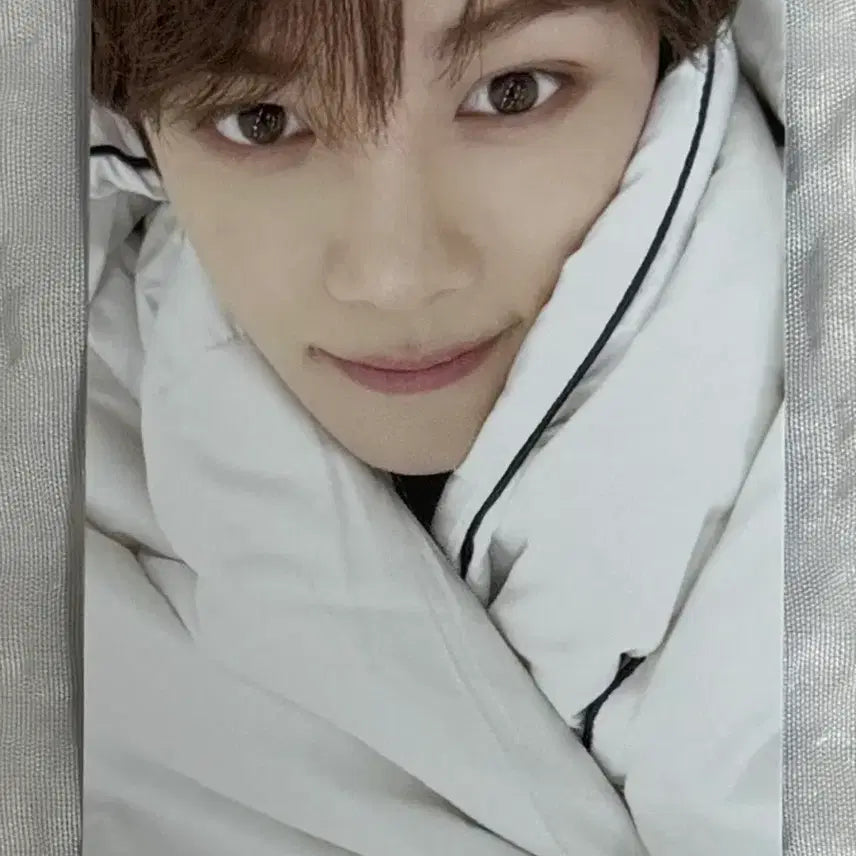 [BUNJANG] Andhere Kim Gyuvin Yetimall Blanket Photocard / 앤더블 김규빈 예티몰 이불 이부자리 ver 포카