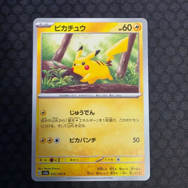 [BUNJANG] Pikachu Walking Card / 산책 피카츄