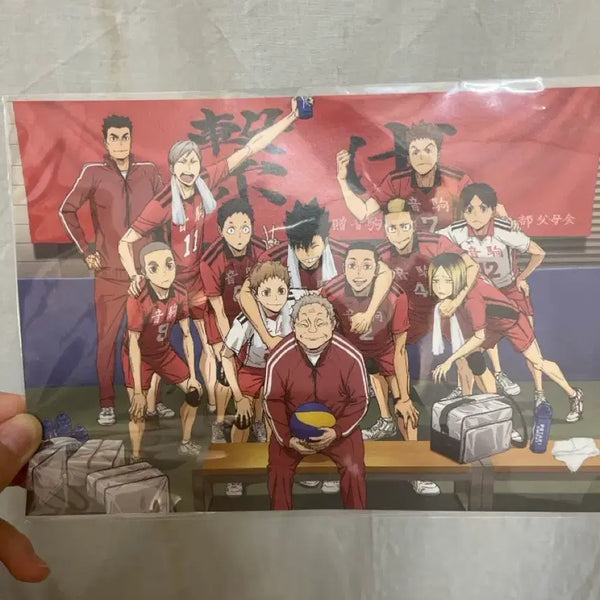 [BUNJANG] Haikyuu!! The Dumpster Battle A5 Clear File / 하이큐 쓰레기장의 결전 특전 A5 ((택비 포함가격))