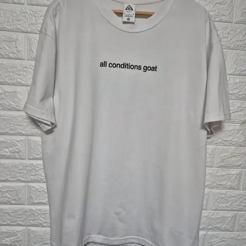 [BUNJANG] Nike ACG Goat Ride Fit T-Shirt / 나이키 ACG 고트드 라이핏 반팔티