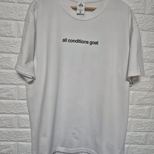 [BUNJANG] Nike ACG Goat Ride Fit T-Shirt / 나이키 ACG 고트드 라이핏 반팔티
