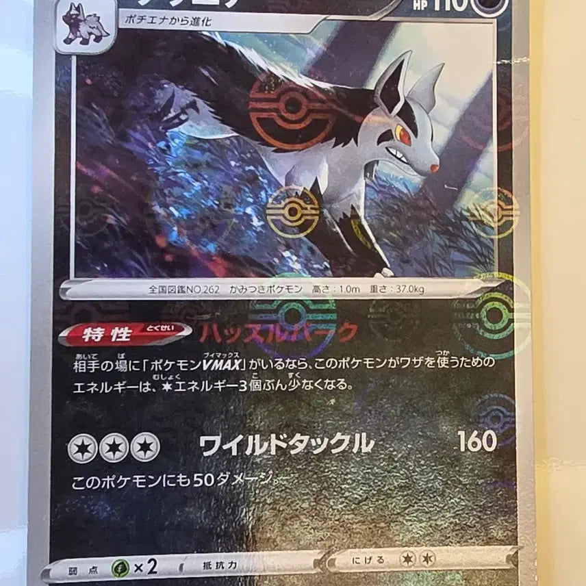 [BUNJANG] Pokemon Card Japanese Monster Ball Mirror Mightyena / 포켓몬카드 일판 몬스터볼 미러 그라에나