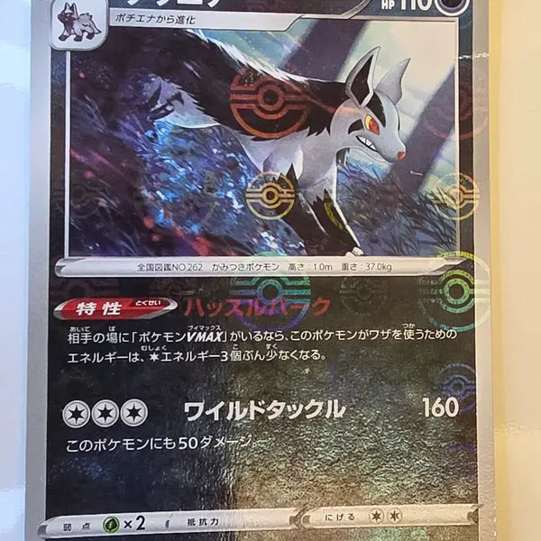 [BUNJANG] Pokemon Card Japanese Monster Ball Mirror Mightyena / 포켓몬카드 일판 몬스터볼 미러 그라에나