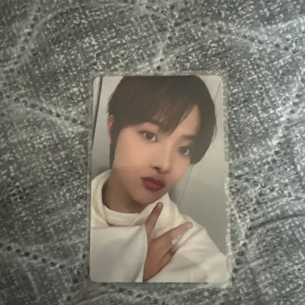 [BUNJANG] Jugo-ya Uiju Photocard / 쥬고야 의주 포카 판매