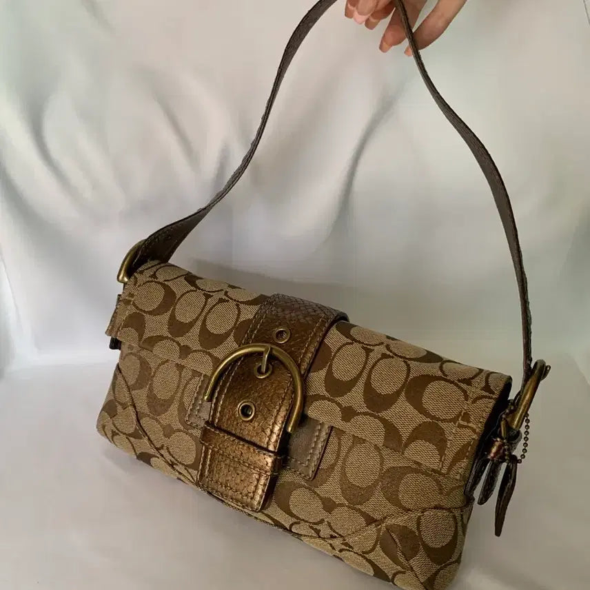 [BUNJANG] Coach Brown Buckle Baguette Shoulder Bag / 희귀)) Coach 코치 브라운 바게트 버클 숄더백