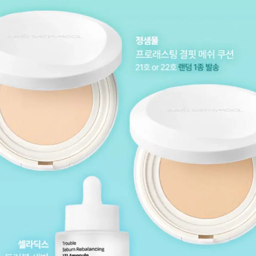 [BUNJANG] Jung Saem Mool Prolasting Defect Mesh Cushion No. 22 (Sealed) / 정샘물 프로레스팅 결핏 메쉬 쿠션 22호 미개봉