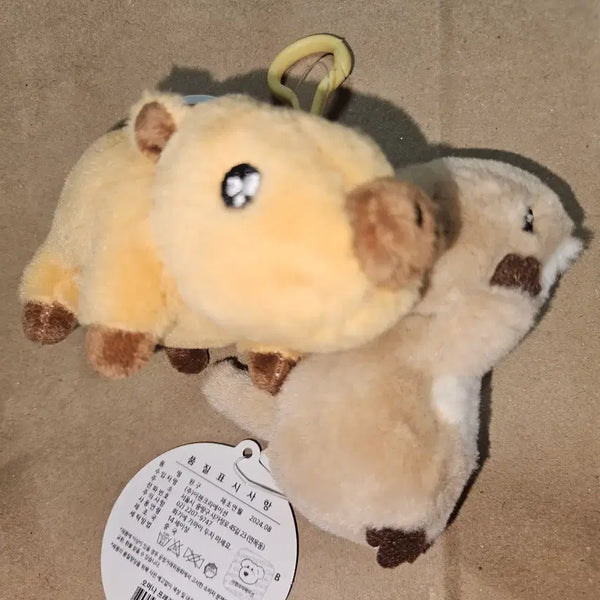 [BUNJANG] Chorongi Wild Boar & Beaver Plush Doll Bundle Set / (일괄, 할인중) 멧돼지 초롱이, 비버 인형 판매 양도