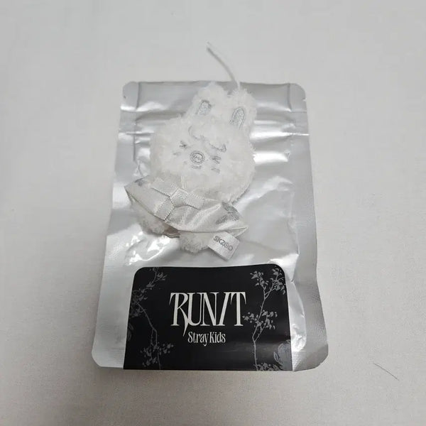 [BUNJANG] Stray Kids Changbin Dwaekki Skzoo Run It Micro Keyring MD / 스트레이키즈 창빈 돼끼 스키주 시크릿 플러시 마이크로 키링 엠디 굿즈 런잇 run it