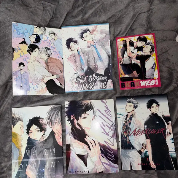 [BUNJANG] Bokuaka Doujinshi Bundle / 하이큐 보쿠아카 동인지 일괄 판매 비안님