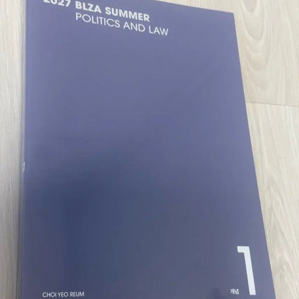 [BUNJANG] Choi Yeoreum BLZA SUMMER 2027 Concept Book Vol. 1 / 최여름 블자 정법 개념 BLZA SUMMER 1. 개념편