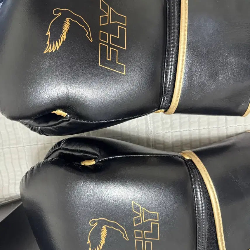 [BUNJANG] Fly Premium Boxing Gloves 16oz & Headgear Set / 플라이 복싱글러브 16온스 헤드기어 프리미엄 세트