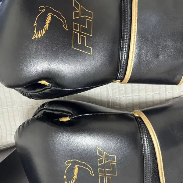 [BUNJANG] Fly Premium Boxing Gloves 16oz & Headgear Set / 플라이 복싱글러브 16온스 헤드기어 프리미엄 세트
