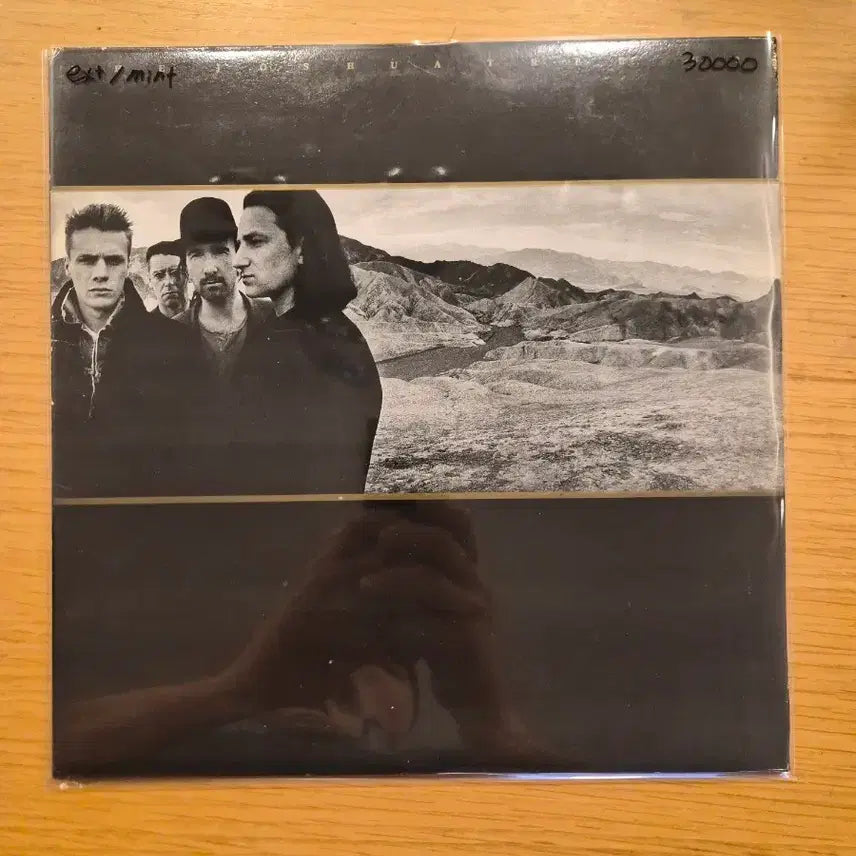 [BUNJANG] U2 LP Record / u2 lp