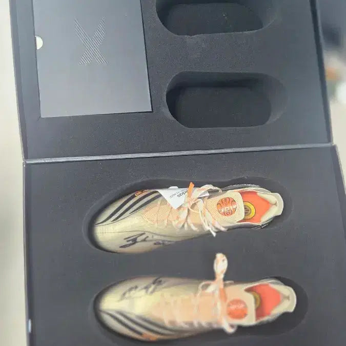 [BUNJANG] Adidas Messi Speedflow.1 FG Football Boots / 메시 스피드플로우.1 fg 축구화
