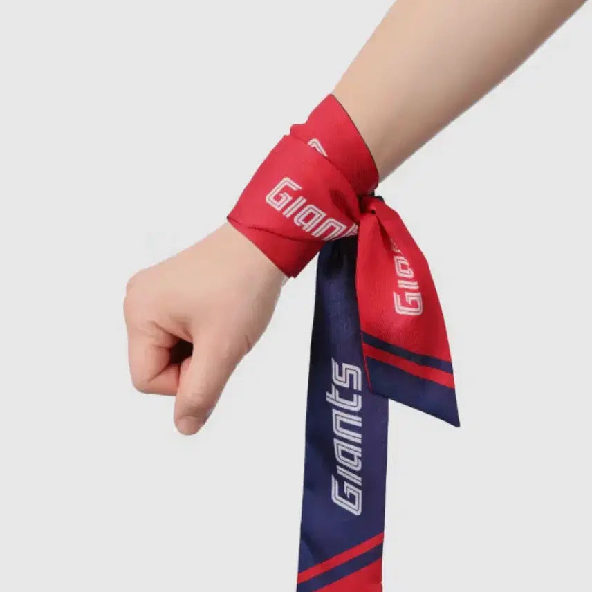 [BUNJANG] Lotte Giants Bangdo Scarf / (정가 이하/새제품) 롯데 자이언츠 방도 스카프