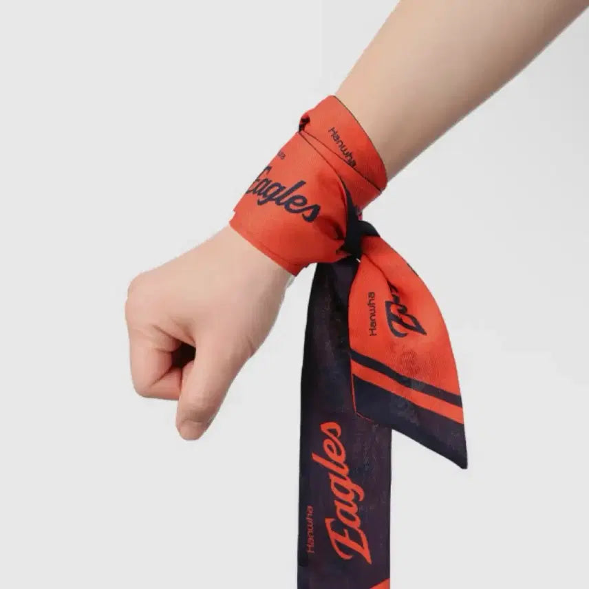 [BUNJANG] Hanwha Eagles Bangdo Scarf (New Product) / (정가 이하/새제품) 한화 이글스 방도 스카프