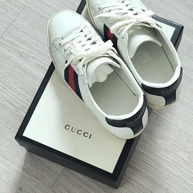 [BUNJANG] Gucci Ace Navy Tab Sneakers White / 구찌  에이스 스니커즈 260