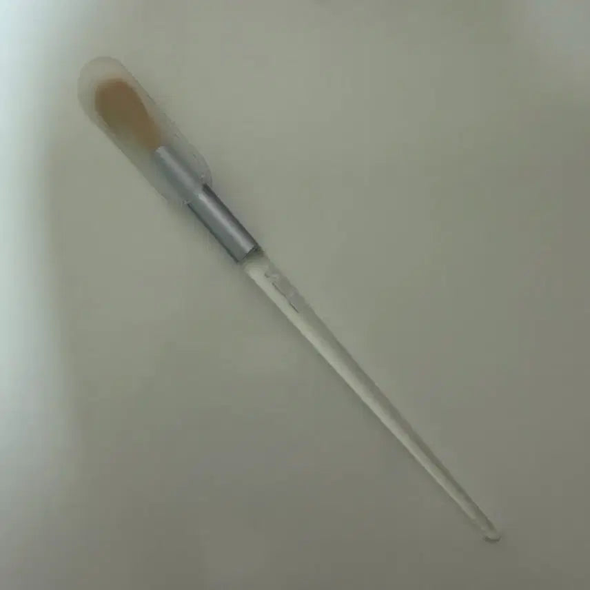 [BUNJANG] VDL Blusher Brush / VDL 블러셔 브러쉬