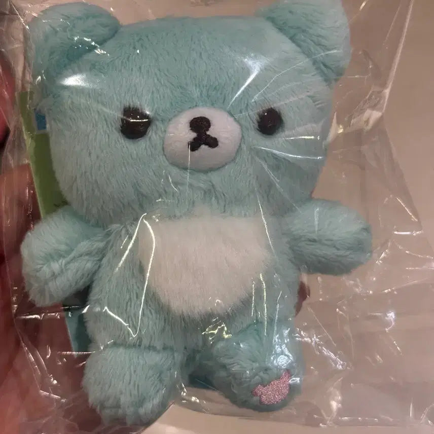 [BUNJANG] San-X Chairoikoguma Mint Plush / (바로배송) 산엑스 차이로이코구마 민트