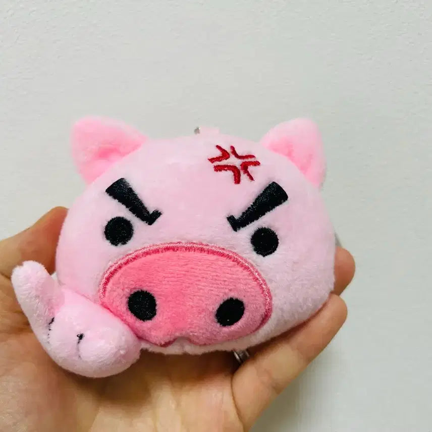 [BUNJANG] Buriburi Keyring / (새상품)부리부리 키링 팝니다