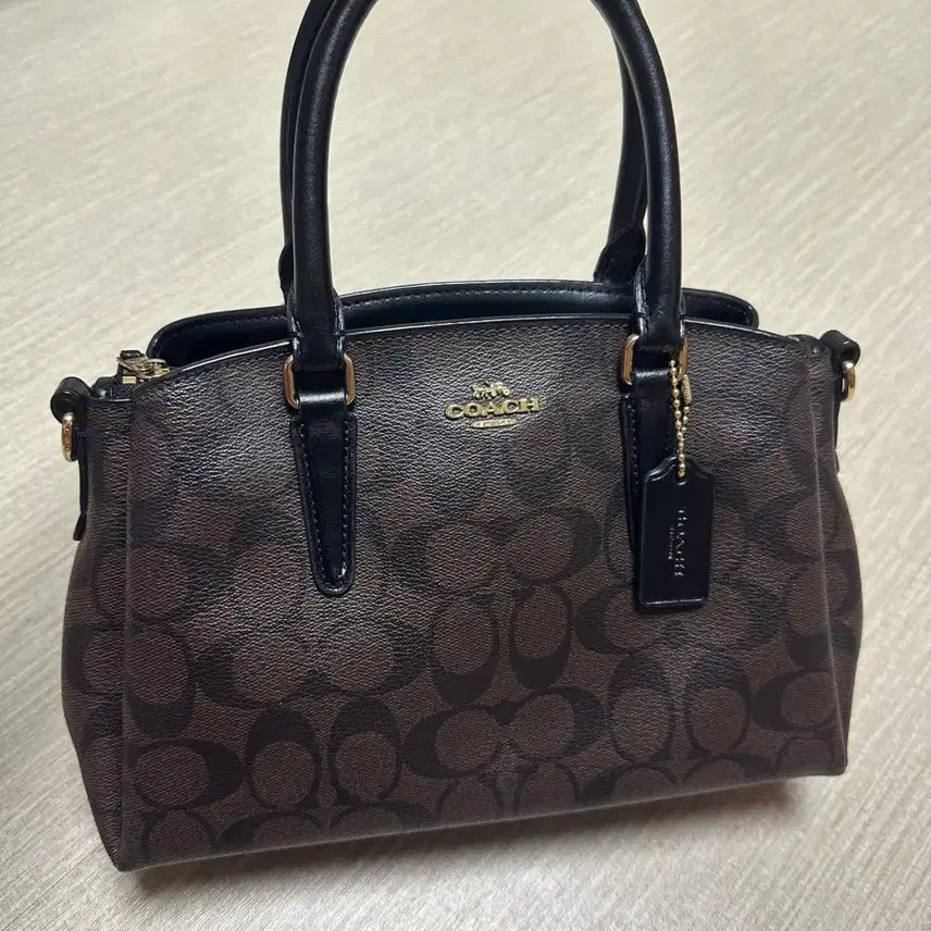 [BUNJANG] Coach Signature Pattern Tote Bag / 코치가방