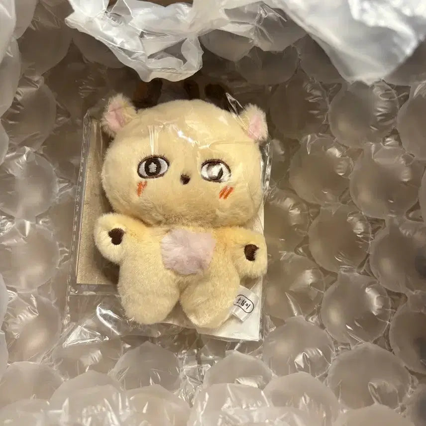 [BUNJANG] Park Jihoon Plush Doll / 박지훈 소심이 인형