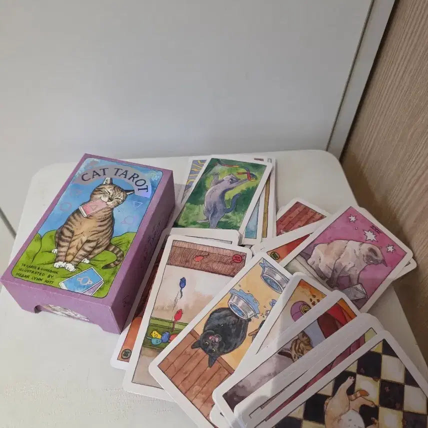 [BUNJANG] Cat Tarot Deck (Official) - Great Condition / 고양이 타로 카드 캣 타로 정품 상태좋음