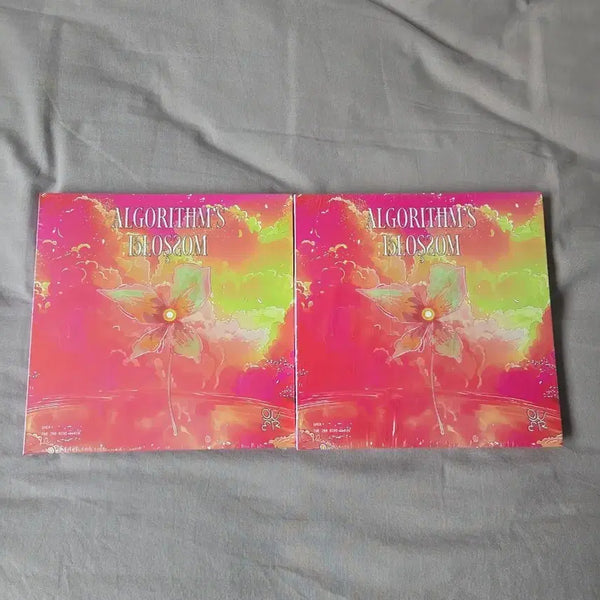[BUNJANG] qwer ALGORITHM'S BLOSSOM Mini Album Vol. 2 (Algorithm Version) - Sealed / [미개봉] qwer 앨범 미니 2집 ALGORITHM'S BLOSSOM