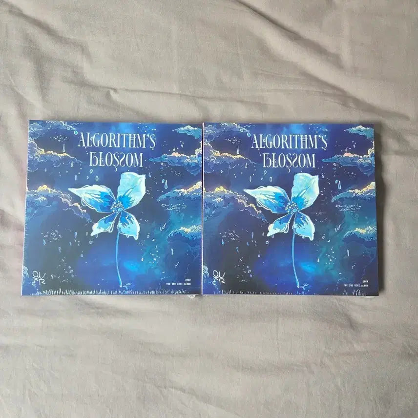 [BUNJANG] QWER Mini 2nd Album ALGORITHM'S BLOSSOM (Sealed) / [미개봉] qwer 앨범 미니 2집 ALGORITHM'S BLOSSOM