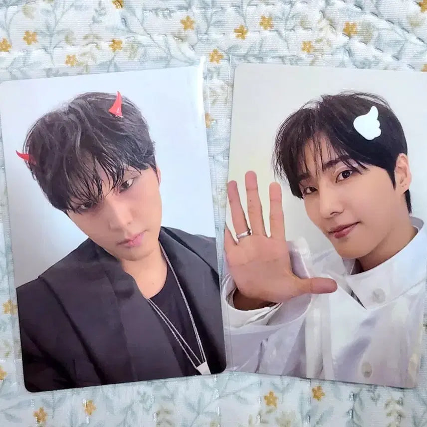 [BUNJANG] DAY6 Young K Wallet Photocard Set / 데이식스 영케이 wallet 포카 세트