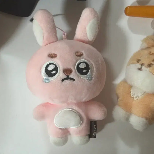 [BUNJANG] Day6 Denimals Puengpil Mini Plush / 데이식스 데니멀즈 시크릿 미니 뿌엥필
