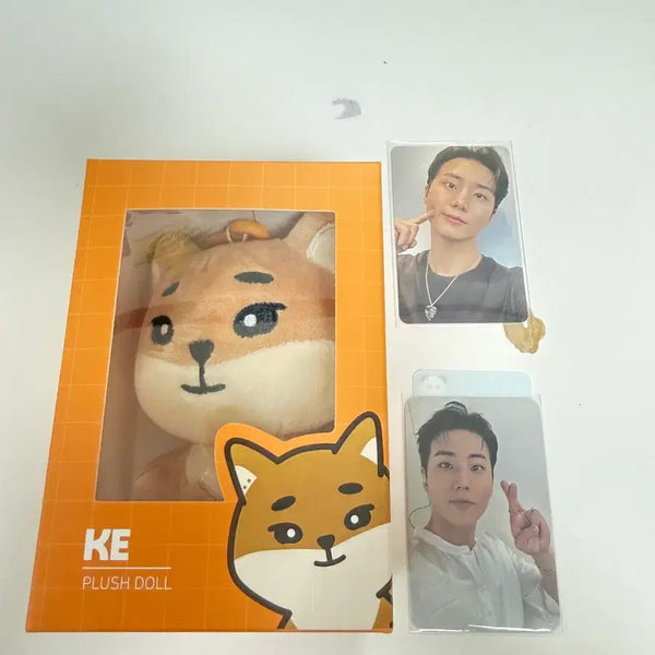 [BUNJANG] DAY6 Young K THE COLLECTOR'S PHOTOCARD SET / 데니멀즈 케, 영케이 포카