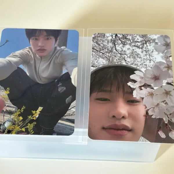 [BUNJANG] RIIZE Sohee Cherry Blossom Photocard Set / 라이즈 소희 벚꽃 dyd 포토카드 포카 세트