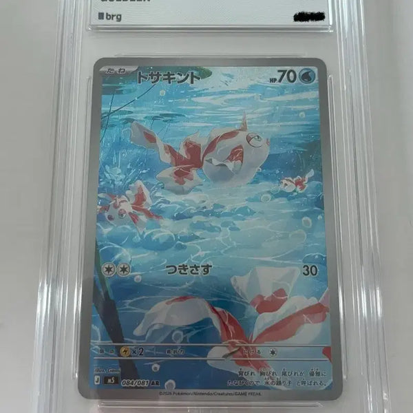 [BUNJANG] Pokemon Card Konchi AR (Japanese) (BRG10) / 포켓몬카드 콘치 AR (일판) (brg10)