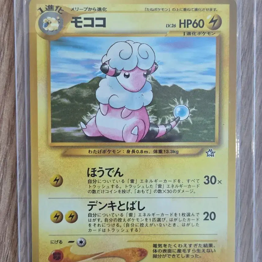 [BUNJANG] Pokemon Card Neo Series Old Back Bolthough Vintage Card (Japanese Release, 2000) / [일판] 포켓몬카드 2000년 네오시리즈 올드백 보송송 빈티지 카드