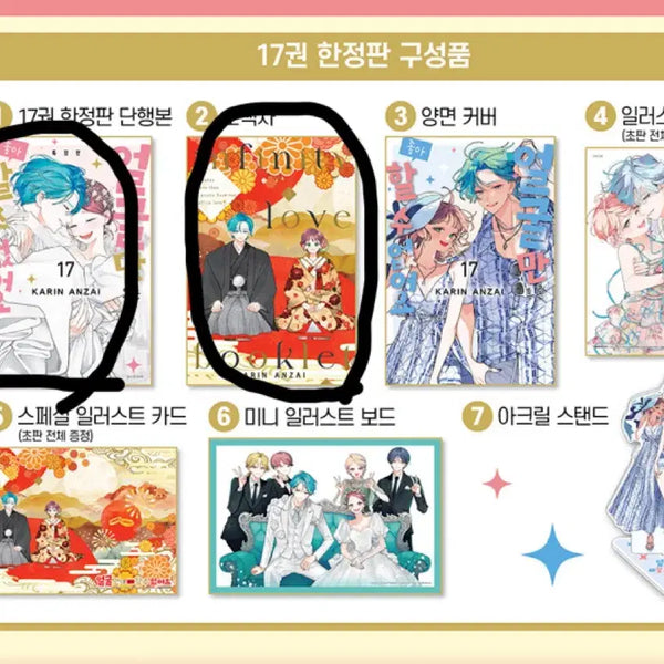 [BUNJANG] Kimi ni Todoke Volume 17 / (구함)얼굴만으론 좋아할 수 없어요 17권