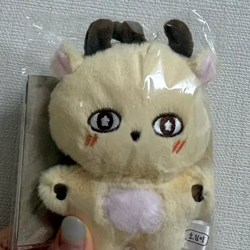 [BUNJANG] Park Ji-hoon 'Sosimi' Doll / 박지훈 인형 소심이 판매합니다!