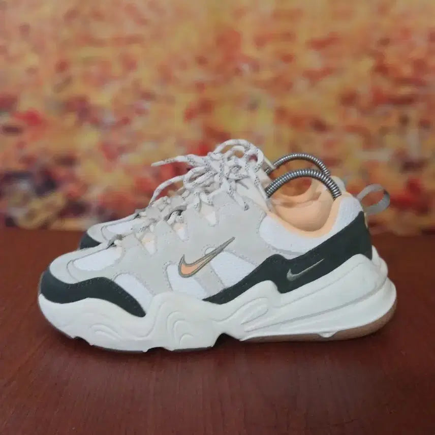 [BUNJANG] Nike Tech Hera FJ4743-100 Women's Shoes / 나이키 테크헤라 FJ4743-100 ,235
