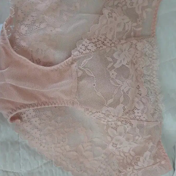 [BUNJANG] Eblin Lace Unpadded Bra & Panty Set / 에블린레이스 홑겹  팬티
