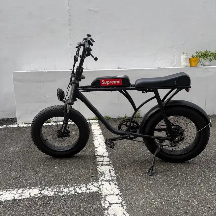 [BUNJANG] Fox F1 Electric Bicycle / 폭스 F1 전기자전거(네고 가능)