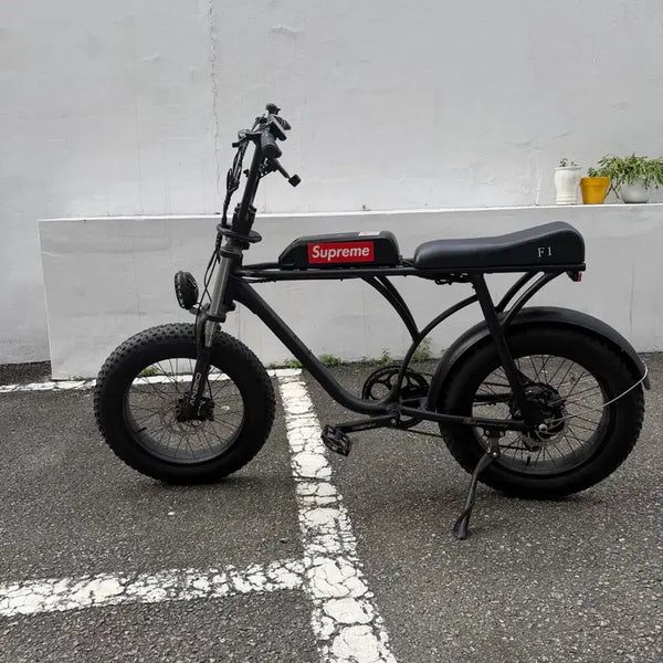 [BUNJANG] Fox F1 Electric Bicycle / 폭스 F1 전기자전거(네고 가능)