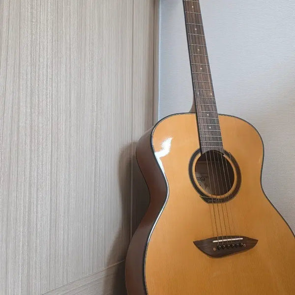 [BUNJANG] Gopherwood G110 Acoustic Guitar Bundle / 고퍼우드 g110 통기타 + 기타줄 2셋 + 기타줄 교체도구