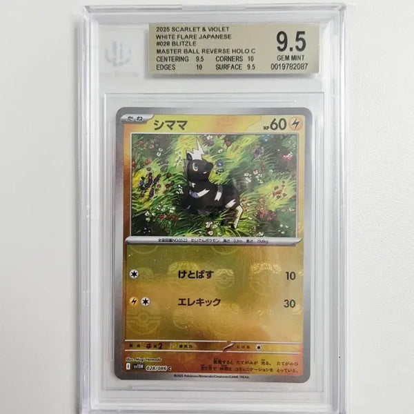 [BUNJANG] Pokemon Card Japanese Jumpluff Master Ball Holo BGS 9.5 / 포켓몬카드 일판 줄뮤마 마스터볼 홀로 BGS9.5